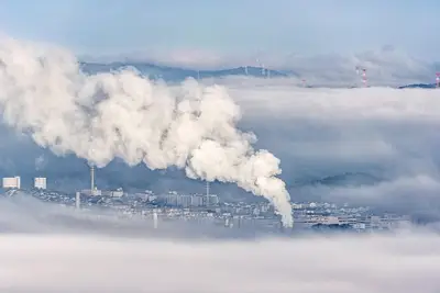 How did economic growth affect the environment?