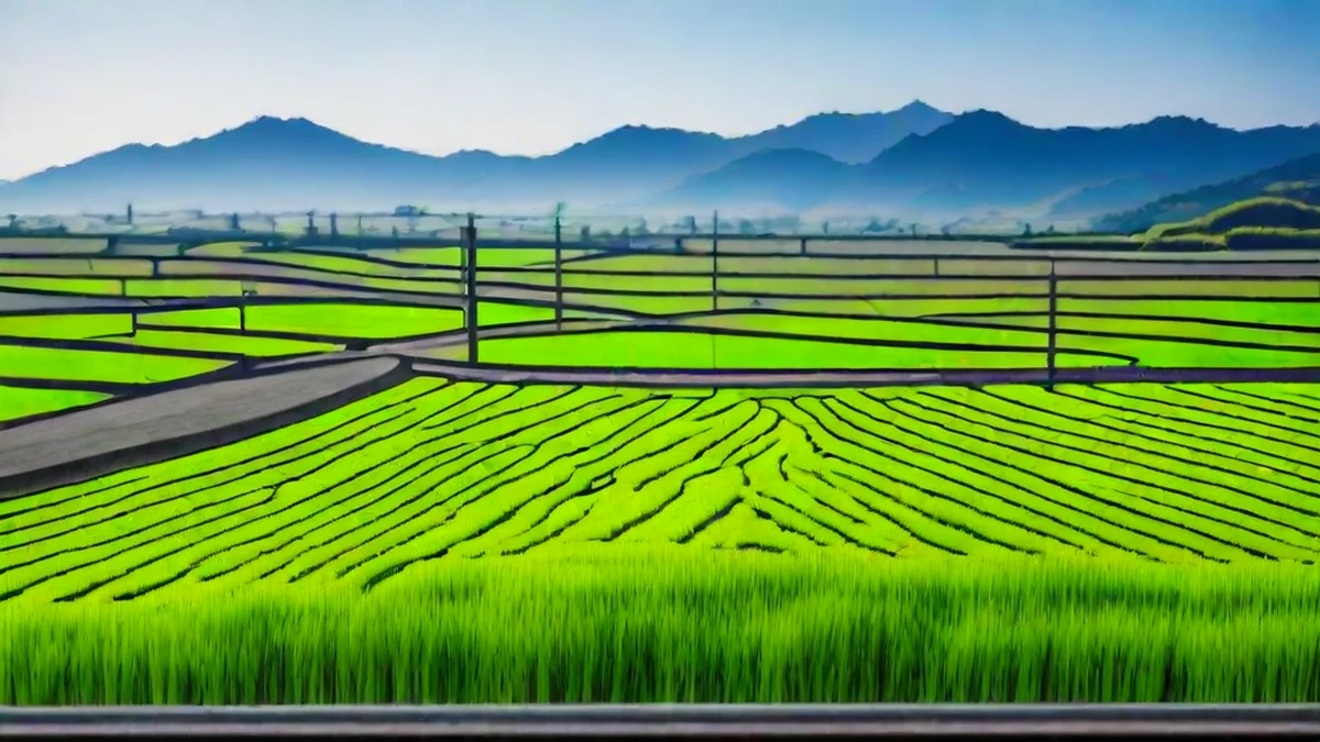 Een uitzicht uit een grote glasvenster van een trein met groene rijstvelden en verre bergen in de Japanse landscap.