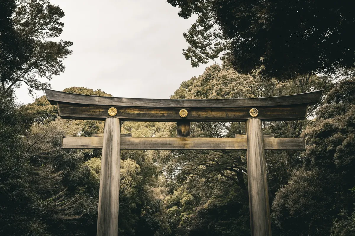 A traditional wooden Torii gate surrounded by lush forest, symbolizing the entrance to a sacred space in Japan.